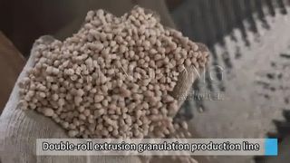 راه حل های خط تولید کود PK با چگالی بالا