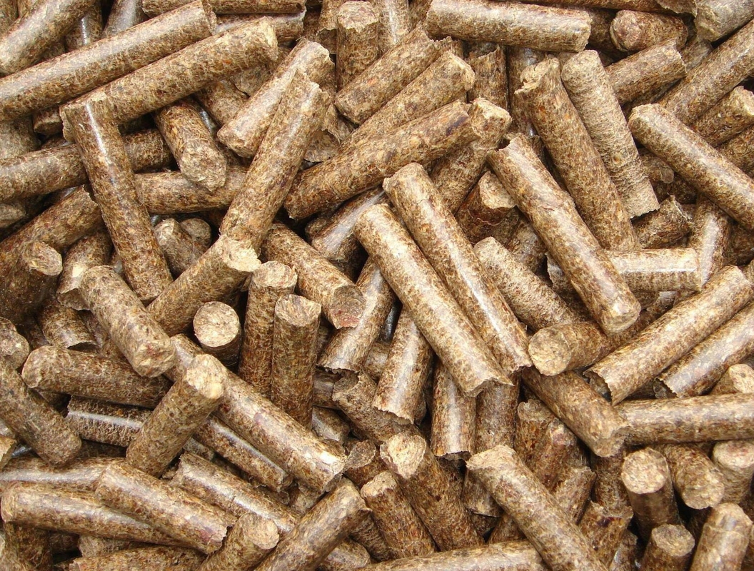 دستگاه گرانولاتور کود 1-2 T / H در خط تولید کود آلی