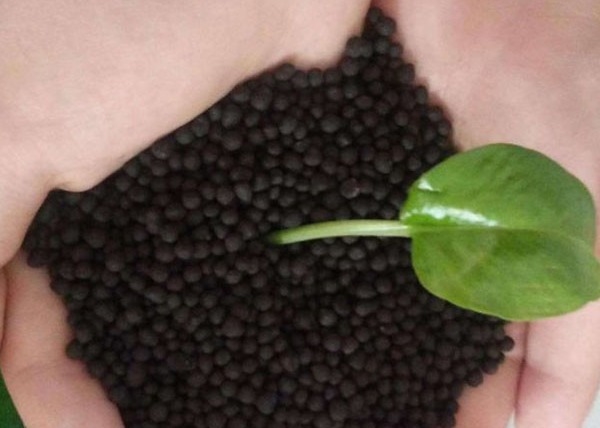 خط تولید کود ارگانیک گلوله برای کود کبوتر تولید کود ارگانیک